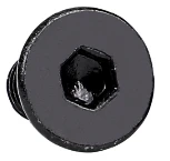 Allen Bolt